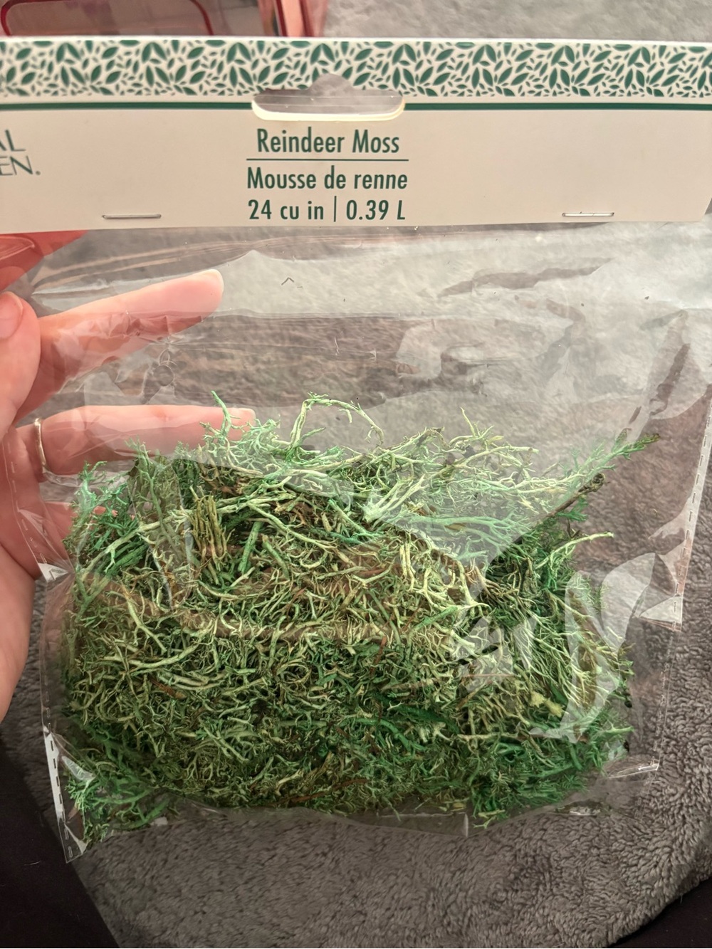 Reindeer Moss Decorative Craft Moss - Green